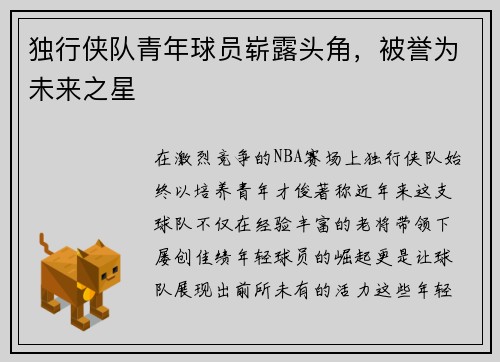 独行侠队青年球员崭露头角，被誉为未来之星